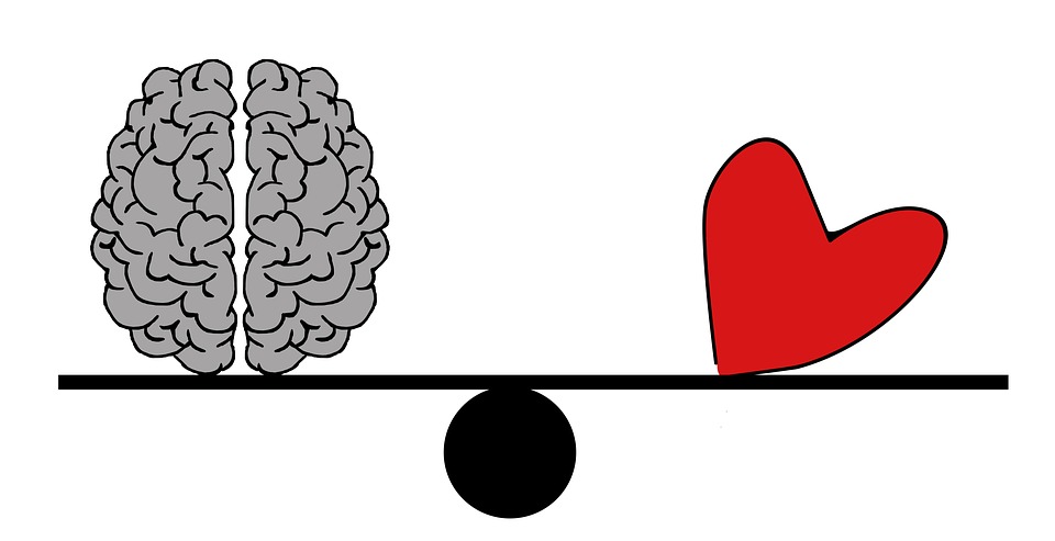 consciousness Potential 